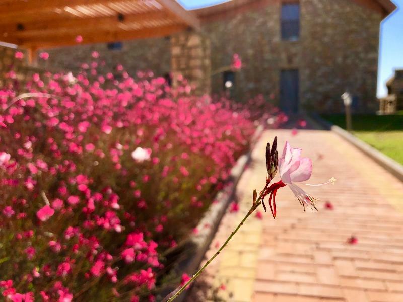 Estrella Villas ラルドス エクステリア 写真