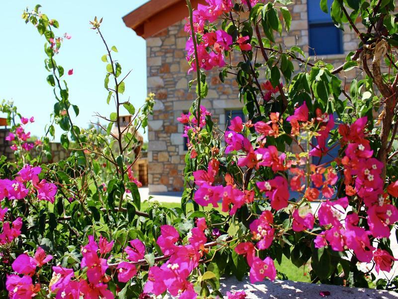 Estrella Villas ラルドス エクステリア 写真